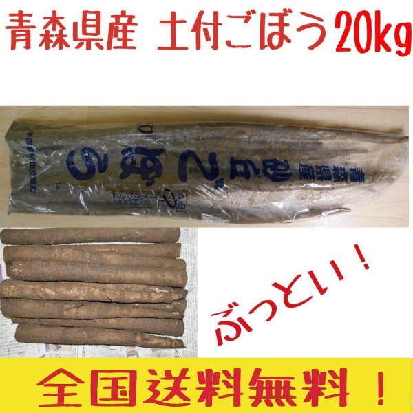 青森県産　土付き　ごぼう　３L　２０ｋｇ　　送料無料！_画像1