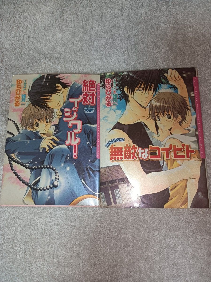 BL小説５冊セット【文庫本】　RYOUMAシリーズ　1~5