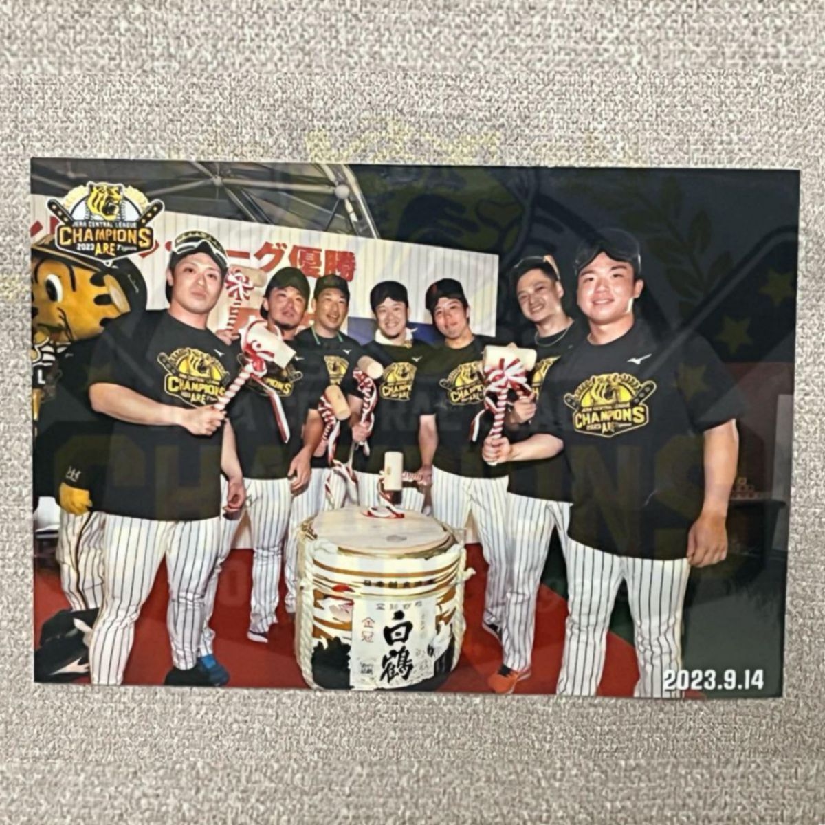 【最終値下げ】阪神タイガース　優勝ブロマイド　ビールかけversion