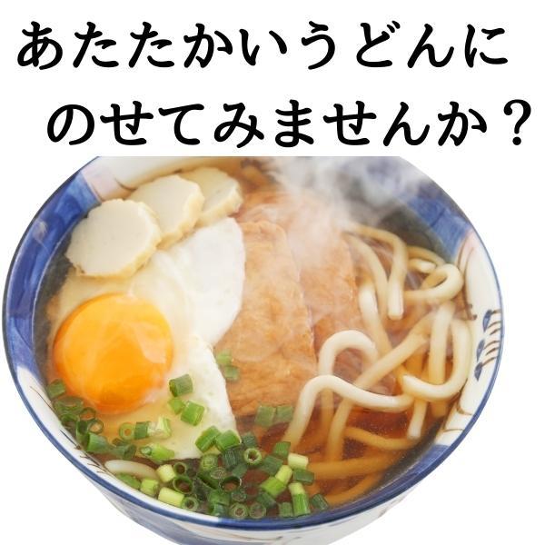 完熟紀州南高梅　訳あり　送料無料　はちみつ梅　500g　2袋セット　梅干し　はちみつ梅　安心安全の和歌山産　ポスト投函　は５×２　_画像7