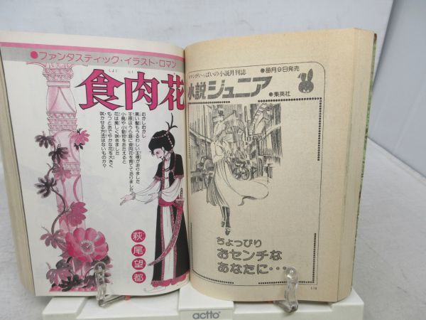 AA■りぼんデラックス 春の号 人気まんが家デビュー作大特集 萩尾望都、内田善美、一条ゆかり、陸奥A子 ◆可■_画像8