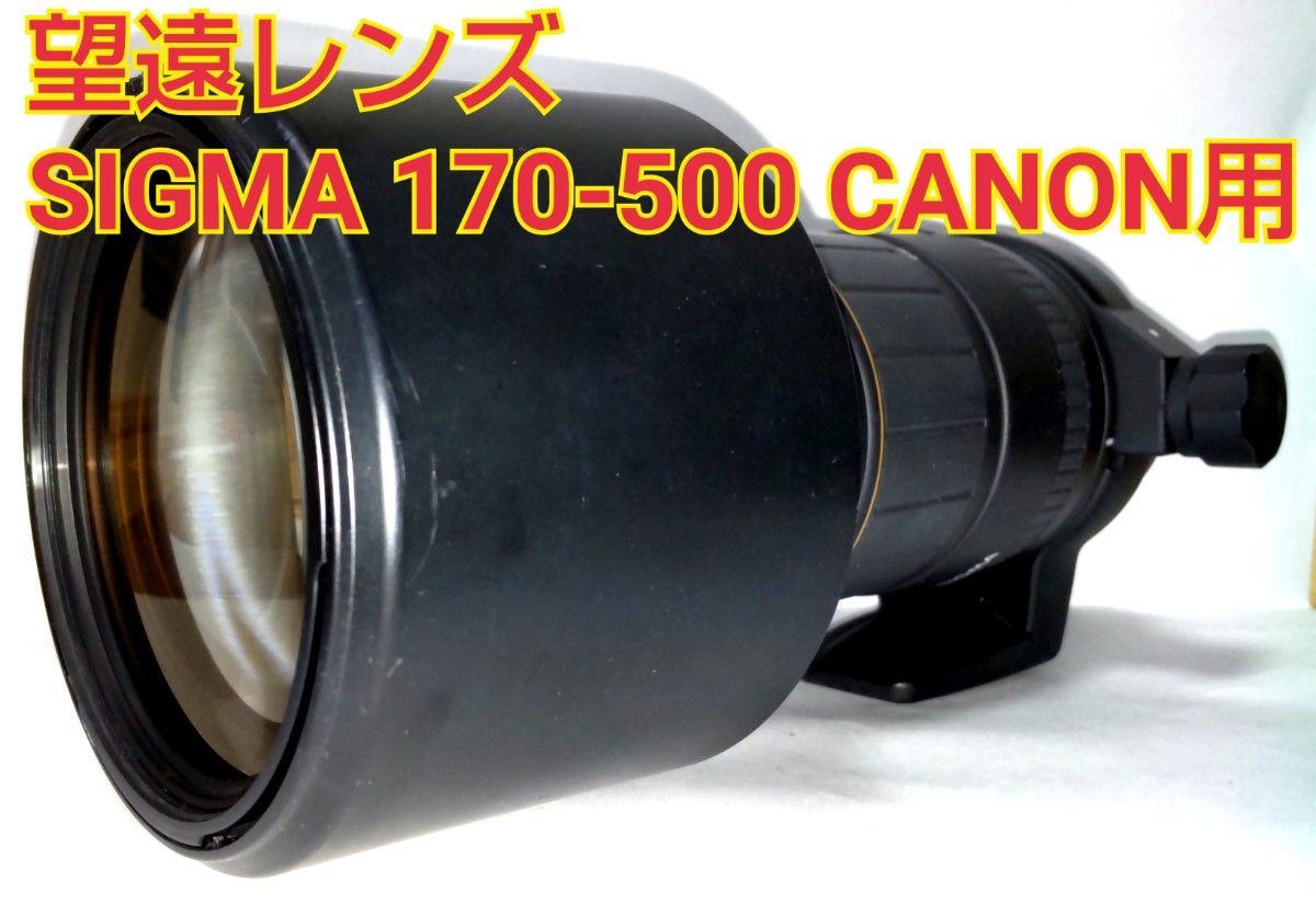 SIGMA シグマ 170-500mm 1 5-6 3 APO キャノン用レンズ カメラ