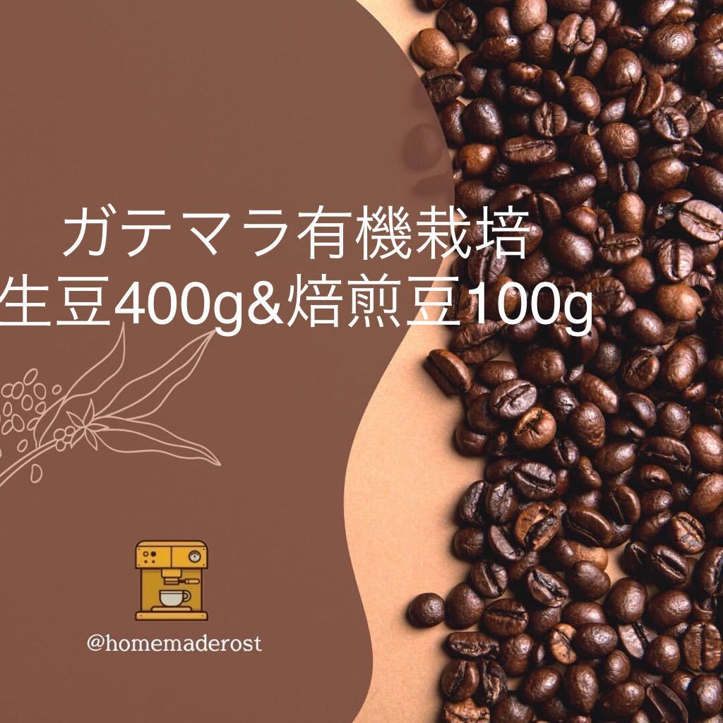 ガテマラ有機栽培生豆400g&焙煎豆100g