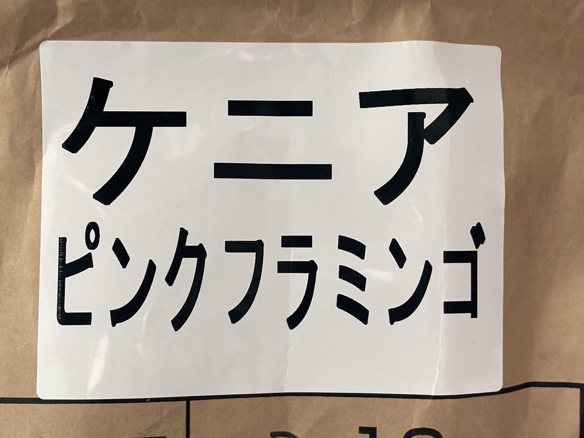 ケニアピンクフラミンゴ 生豆400g&焙煎豆100g