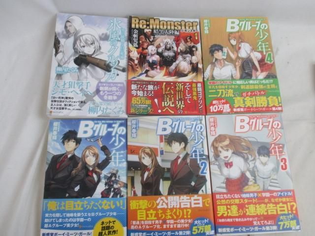 【同梱可】中古品 ホビー Bグループの少年 天才王子の赤字国家再生術 氷風のクルッカ 等 ライトノベル 小説 グッズセ_画像2