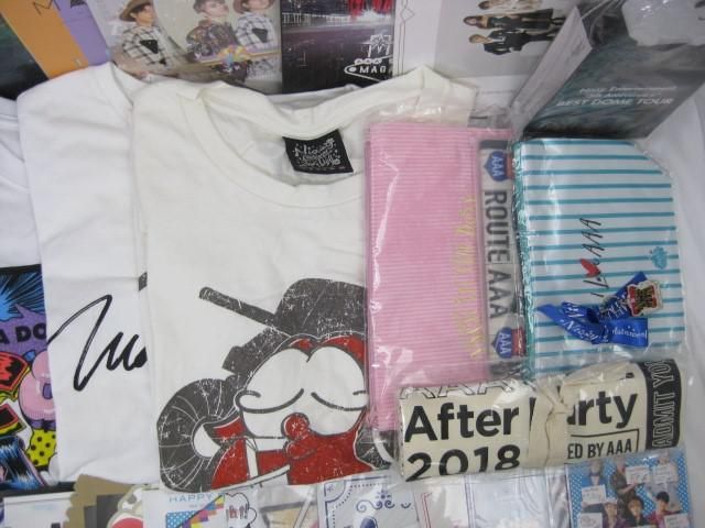 【同梱可】中古品 アーティスト AAA Nissiy 他ペンライト Tシャツ タオル ポーチ 他 グッズセット_画像6