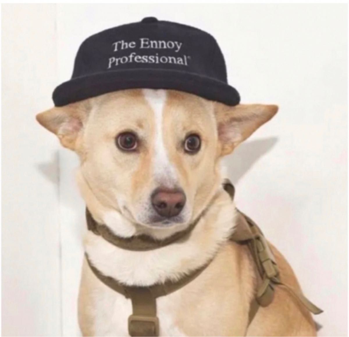 最終お値下げ 【新品未使用】ennoy フリースCAP キャップ|Yahoo 最終お値下げ 【新品未使用】ennoy フリースCAP キャップ|Yahoo