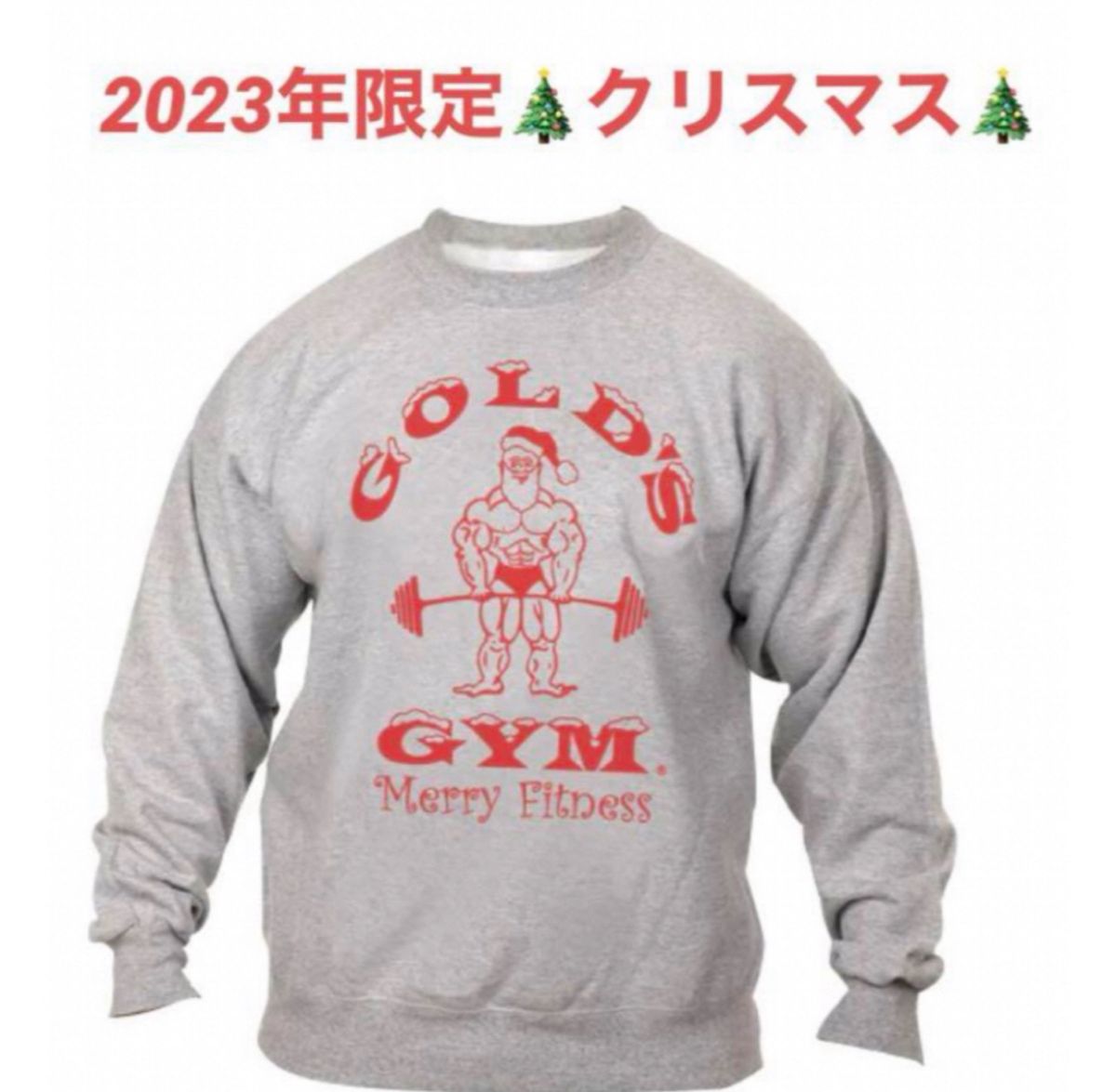 ゴールドジム GOLDS GYM 半袖 新品未使用 数量限定 即完売品