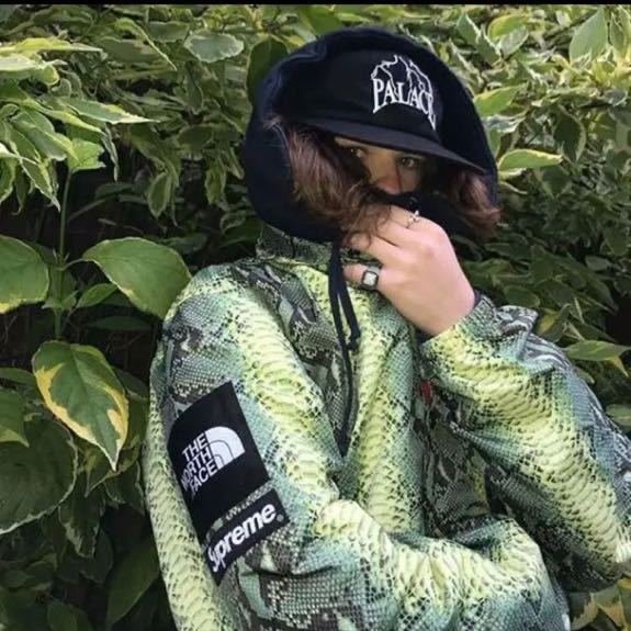 Supreme North Face Snakeskin Taped Seam Coaches Jacket Supreme North Face Snakeskin Taped Seam Coaches Jacket