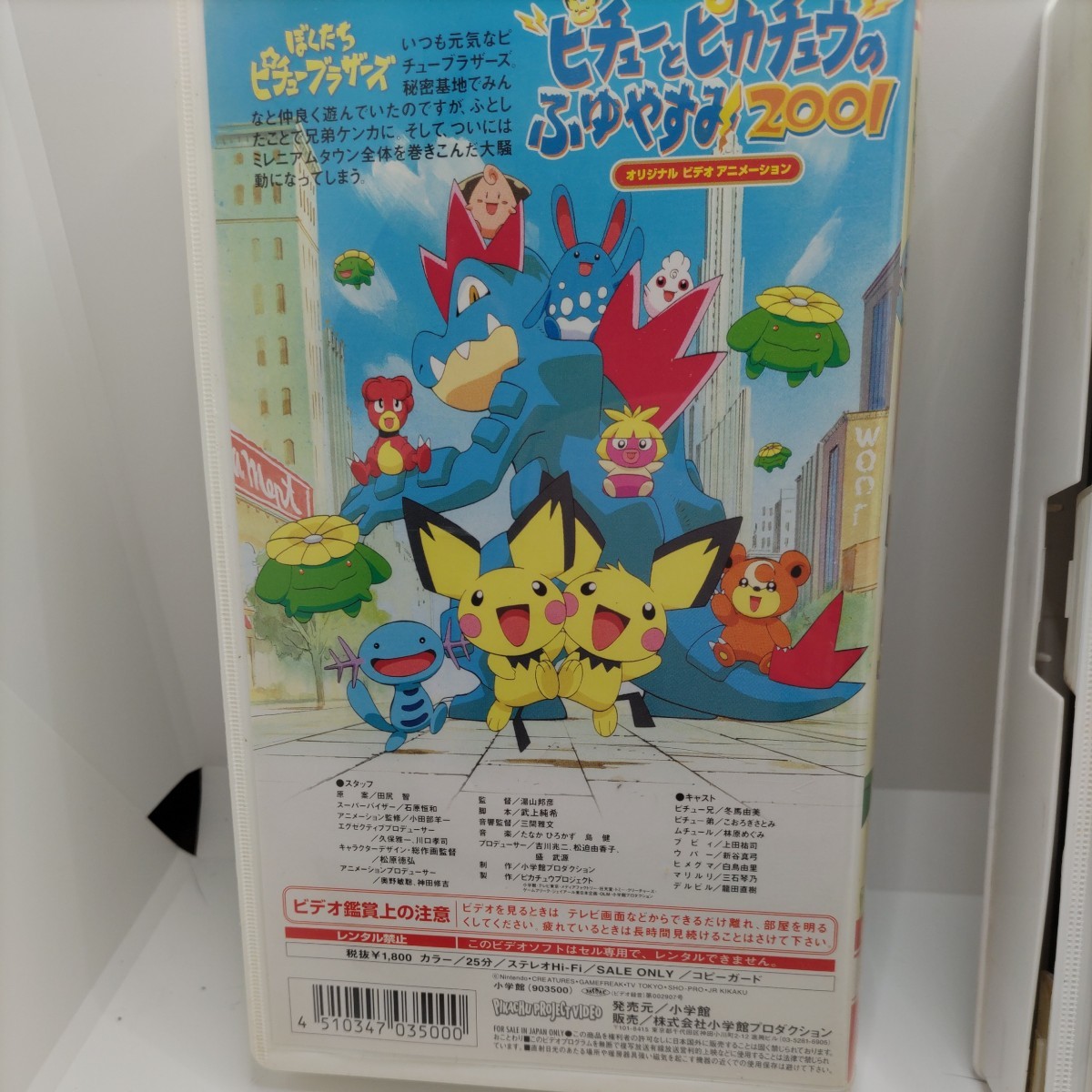  【貴重なポケモンVHS!】ポケットモンスター ピチューとピカチュウのふゆやすみ2001　VHS ビデオテープ【片方のケースに破損あり】