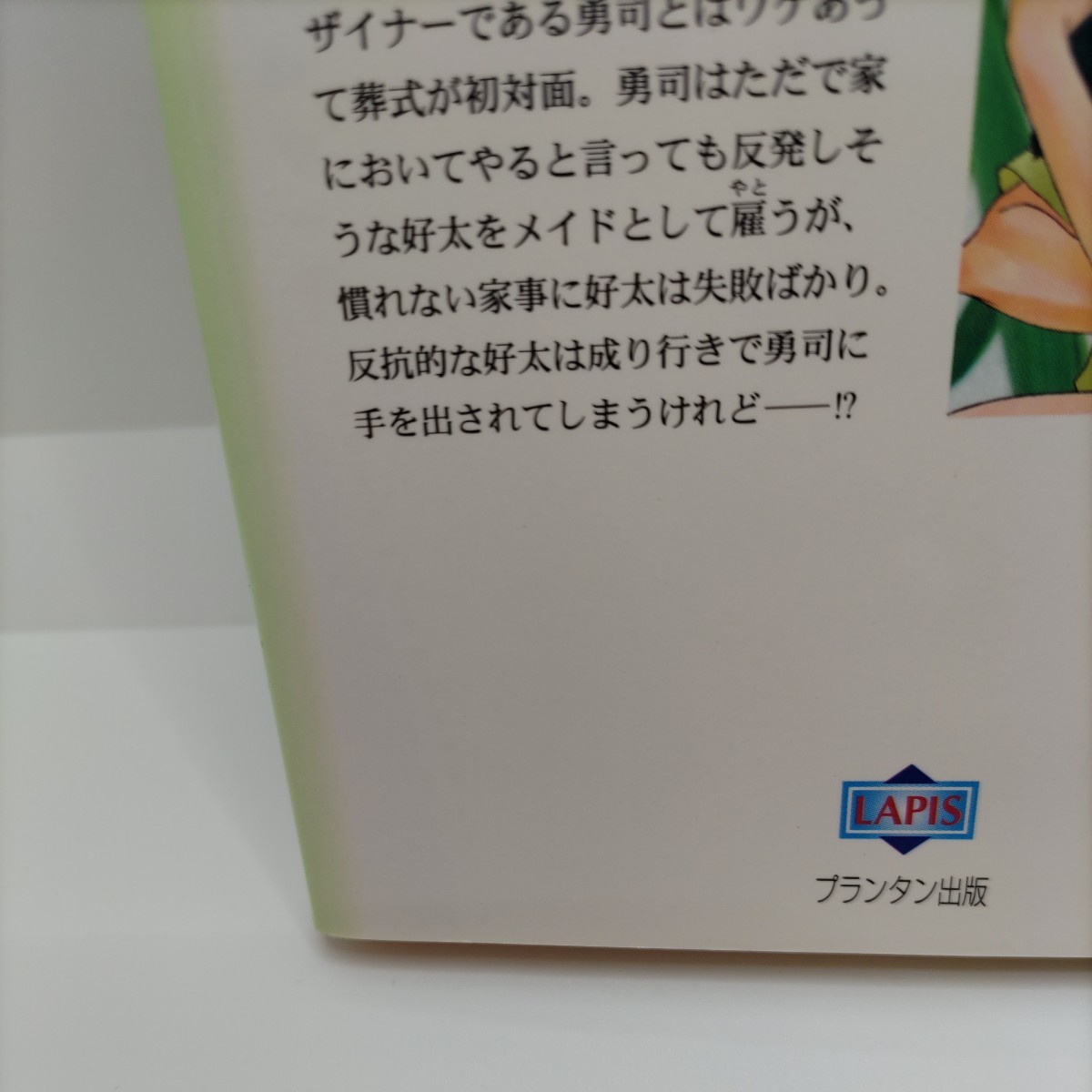 【初版本！】生意気なメイドにはお仕置きを 松岡裕太 プランタン出版 ライトノベル ラノベ 小説 文庫 BL ボーイズラブ