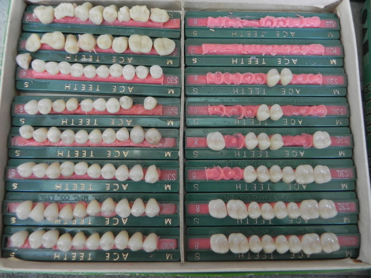 中古 　★　 歯 模型 セット　　廃業歯科医整理品　　　（ジャンク扱い）　S-１２_画像4