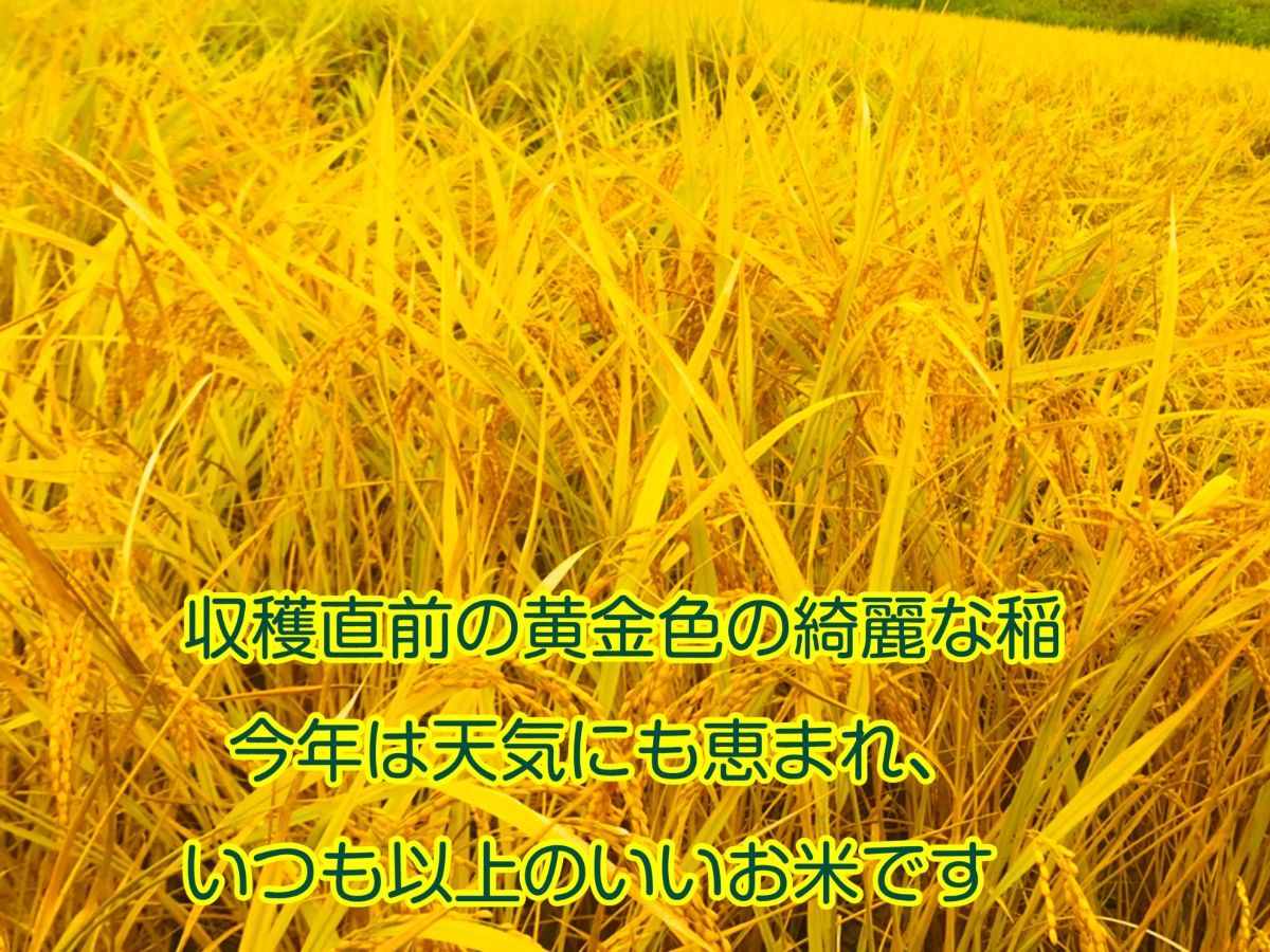 熊本県産★ヒノヒカリ玄米２．３キロ★綺麗な湧き水で育った★特別栽培米