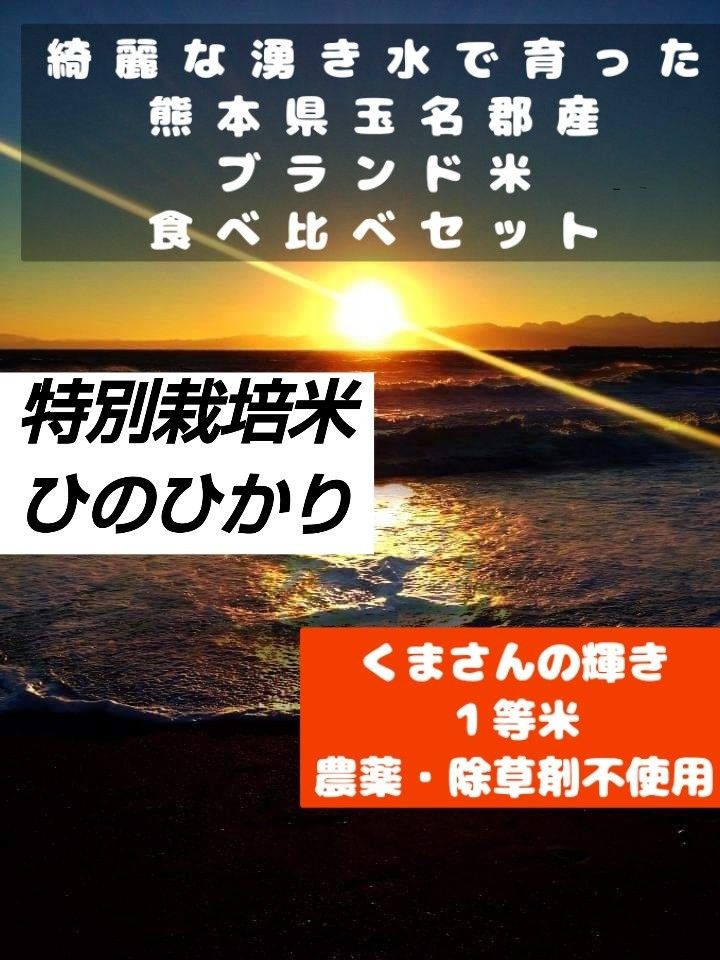 綺麗な湧き水で育った★特別栽培米ひのひかり５キロ★くまさんの輝き・１等米★５キロ