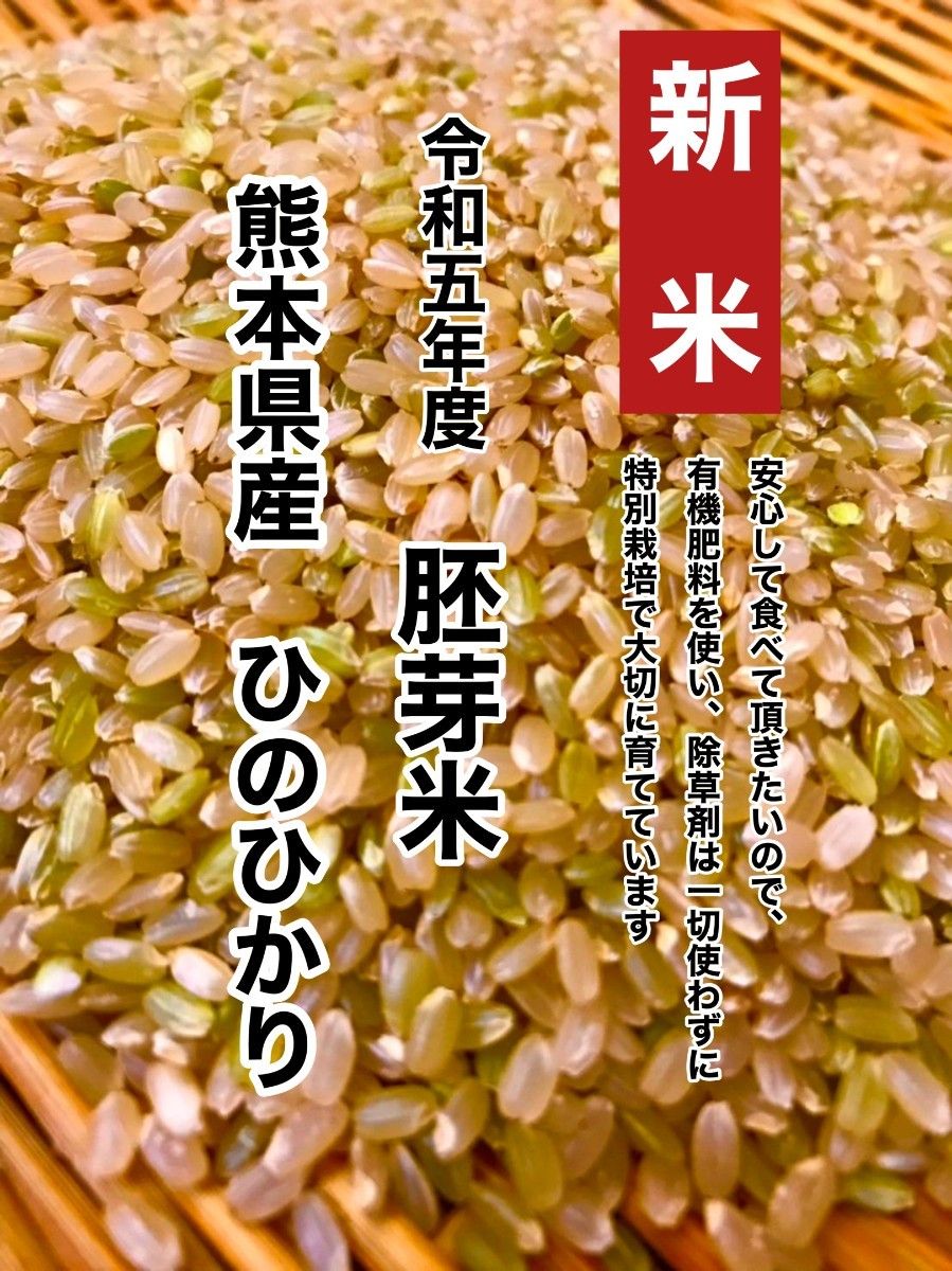 熊本県産★ヒノヒカリ胚芽米１．８キロ★栄誉価抜群★健康食★特別栽培米