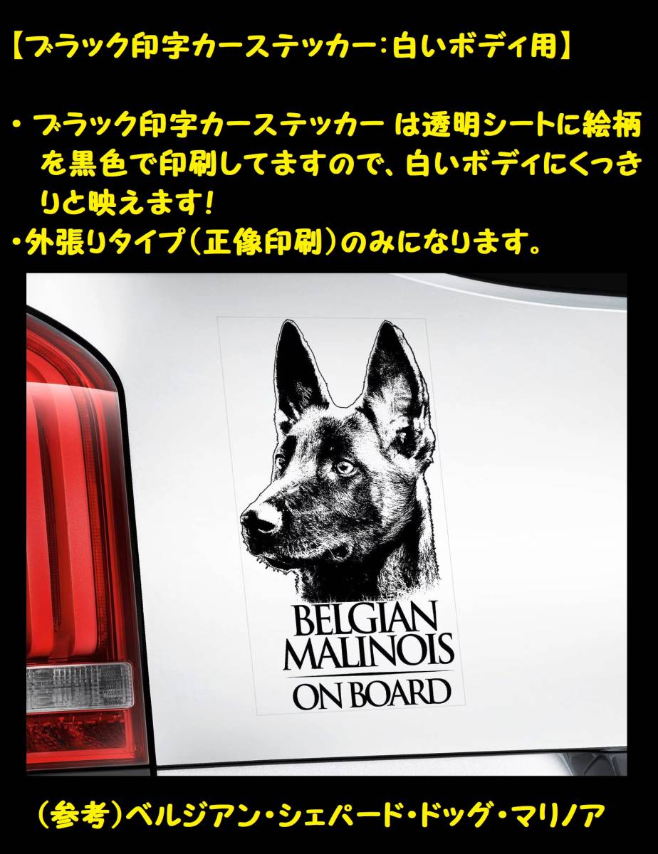 ◆スコティッシュ・テリア(スコッティ,スコッティー) @外張り カーステッカー 220x100mm 外貼り カー ステッカー シール@D1 犬 3020_画像9