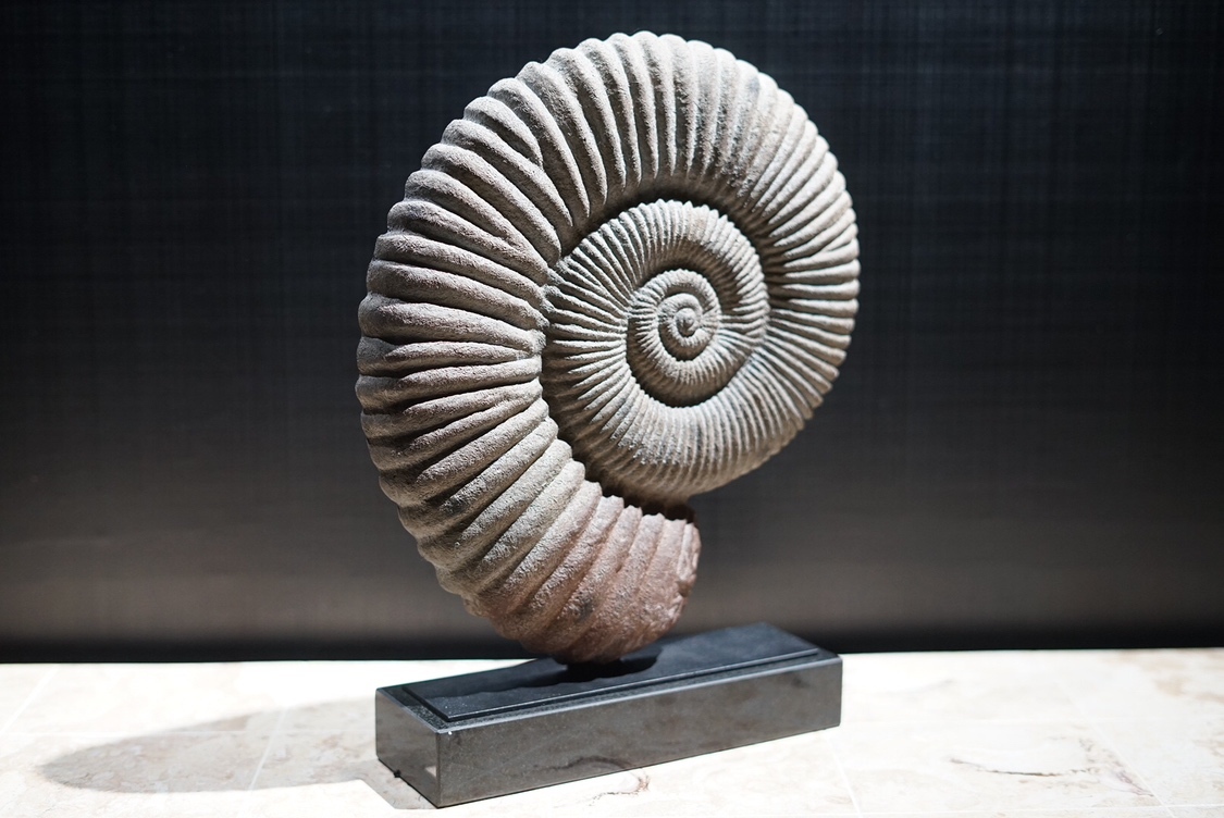 Hills Collection☆20万円 LAC Ammonite Sculp セレクト オブジェ 置物 Cassina ACTUS Arflex BoConcept MASTERWAL IDEE
