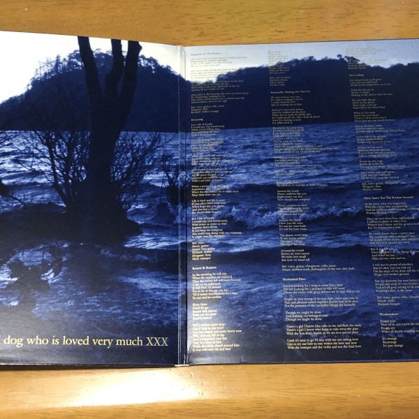 【即決】UKオリジナル盤 THE GENTLE WAVES / THE GREEN FIELS OF FOREVERLAND ... ザ・ジェントル・ウェイヴス BELLE AND SEBASTIANの画像3