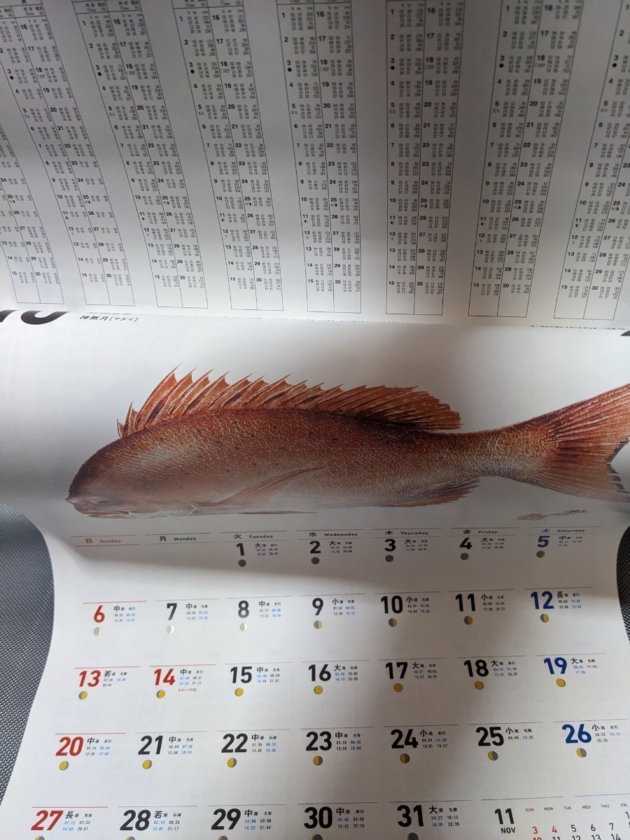 ダイワ　DAIWA　2024　魚拓カレンダー　令和6年　⑦_画像7