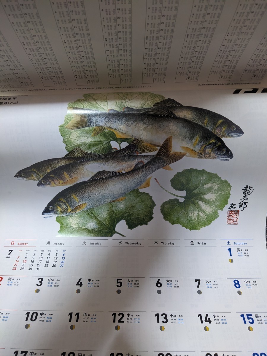 ダイワ　DAIWA　2024　魚拓カレンダー　令和6年　⑦_画像5