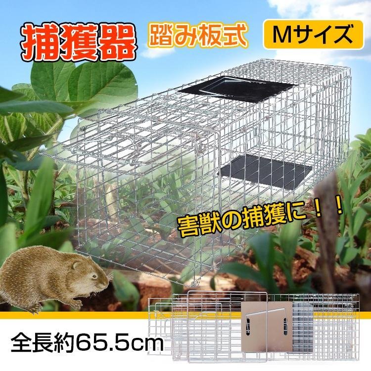 送料無料 捕獲器 踏み板式 Mサイズ 折りたたみ 全長65.5cm アニマル トラップ 動物 害獣 駆除 罠 ガード付き 軽量 庭 畑 農業 pt060-m_画像3