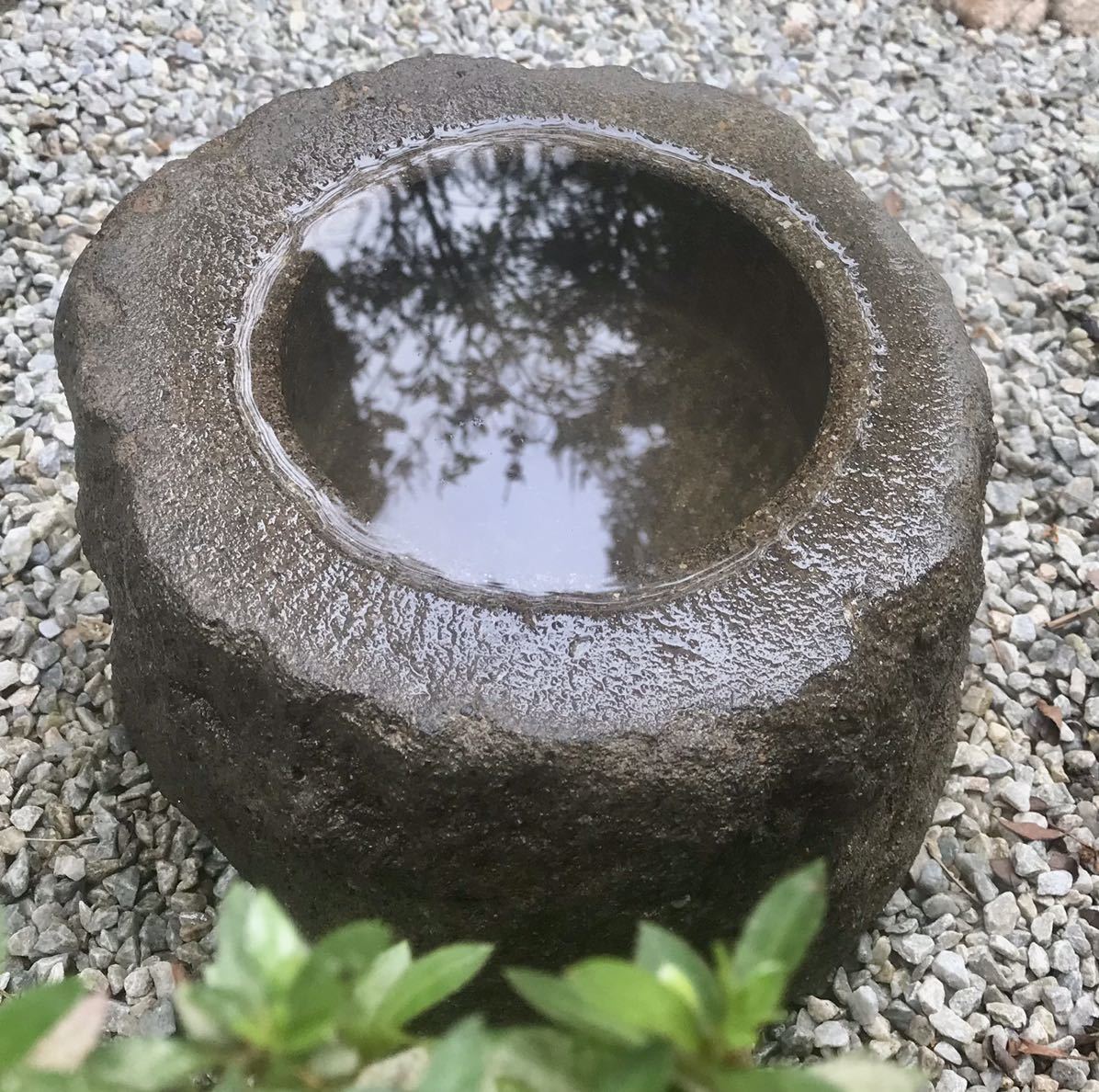  old .. structure . material approach terrace water lily pot water pot [ stone pot *.... pot *. tea garden ] suiseki st Rhododendron indicum exterior tea garden gardening fields and mountains grass light . bonsai stone structure other 