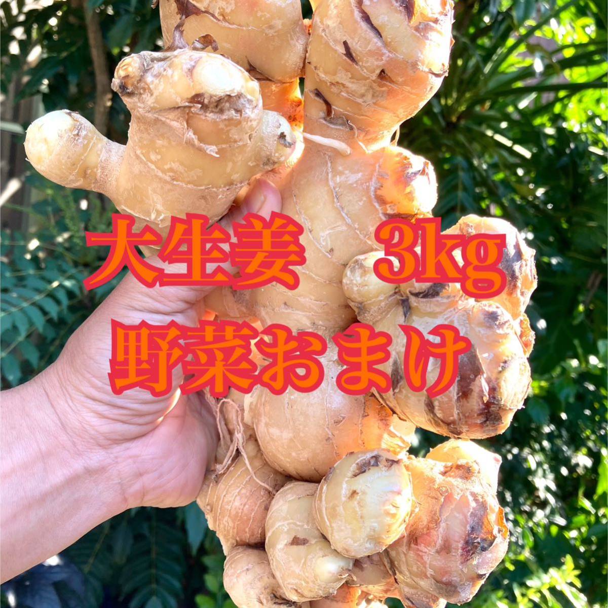 大生姜　生姜　3kg プラス野菜おまけ_画像1