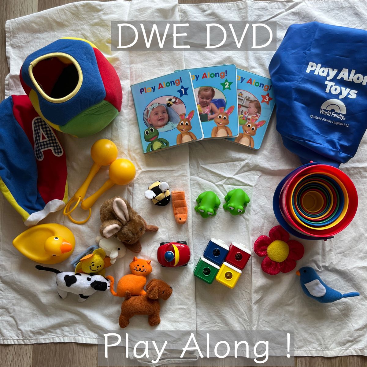 DWE プレイアロング DVD - 知育玩具