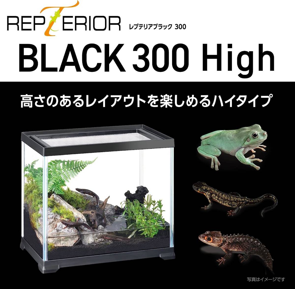 GEXjek attrition p terrier black 300 high (high) black frame reptiles * amphibia breeding cage 