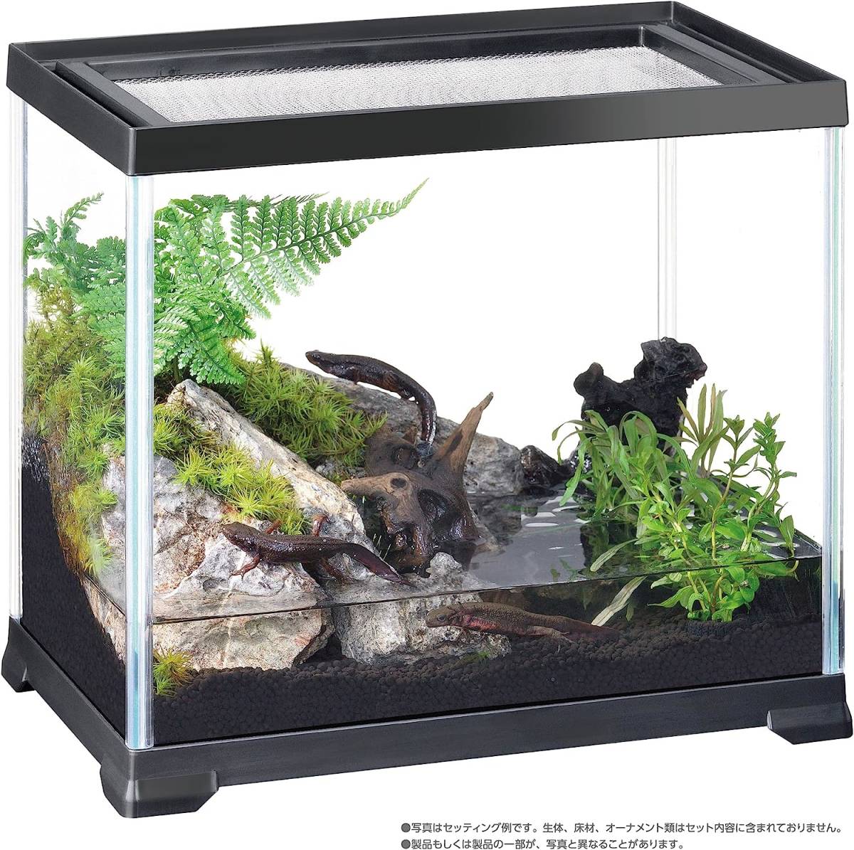GEXjek attrition p terrier black 300 high (high) black frame reptiles * amphibia breeding cage 