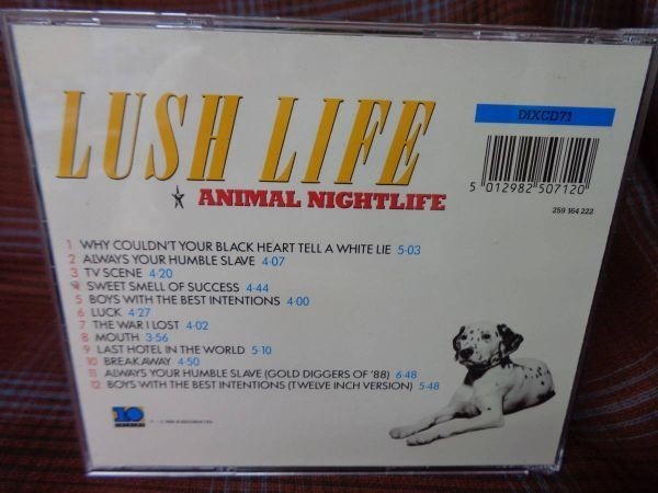 A#2923*◆CD◆ アニマル・ナイトライフ - Lush Life ANIMAL NIGHTLIFE DIXCD71_画像3