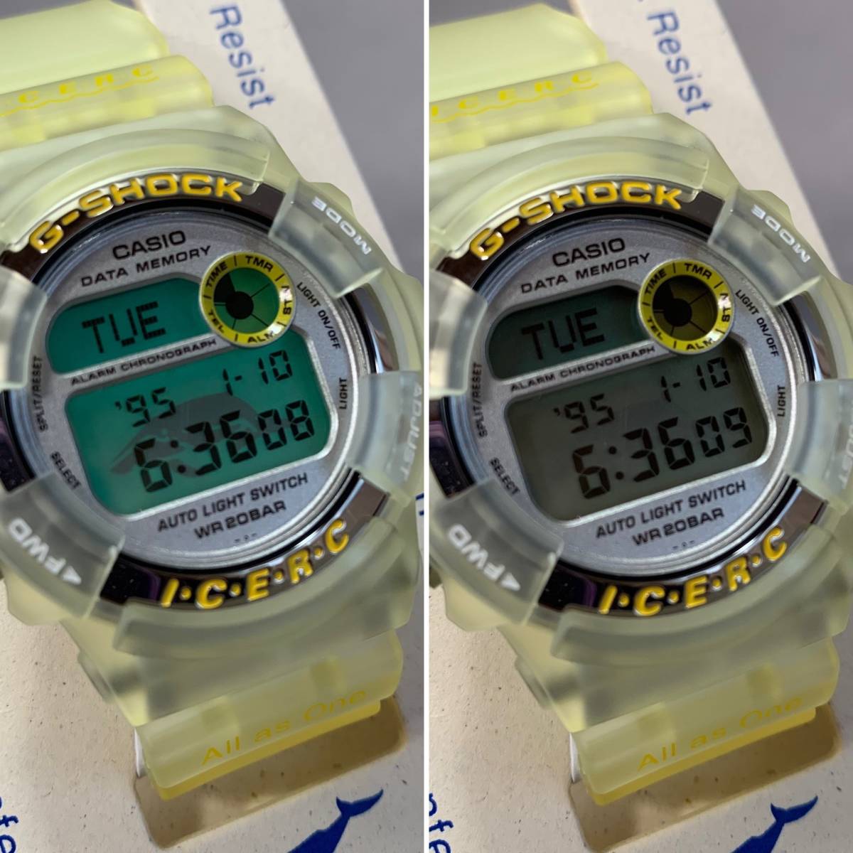 MS440 コレクター放出品・電池交換済 CASIO G-SHOCK DW-9200K-9AT 第7回国際イルカ・クジラ会議モデル 腕時計 箱・取説あり (検)イルクジ_画像7