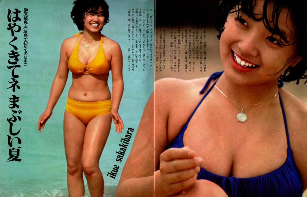 S3259 superior article shining star 1977 year Showa era 52 year swimsuit bikini .... Yamaguchi Momoe Candies Pink Lady - Iwasaki Hiromi Shimizu ... Okada Nana Sakura rice field .. Saijo Hideki 