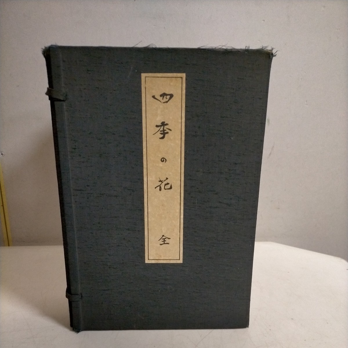 四季の花 全10巻揃 帙入り 芸艸堂 酒井抱一/鈴木其一/中野其明 彩色木版画 昭和55年△古本/経年劣化によるヤケスレシミ傷み有_画像1