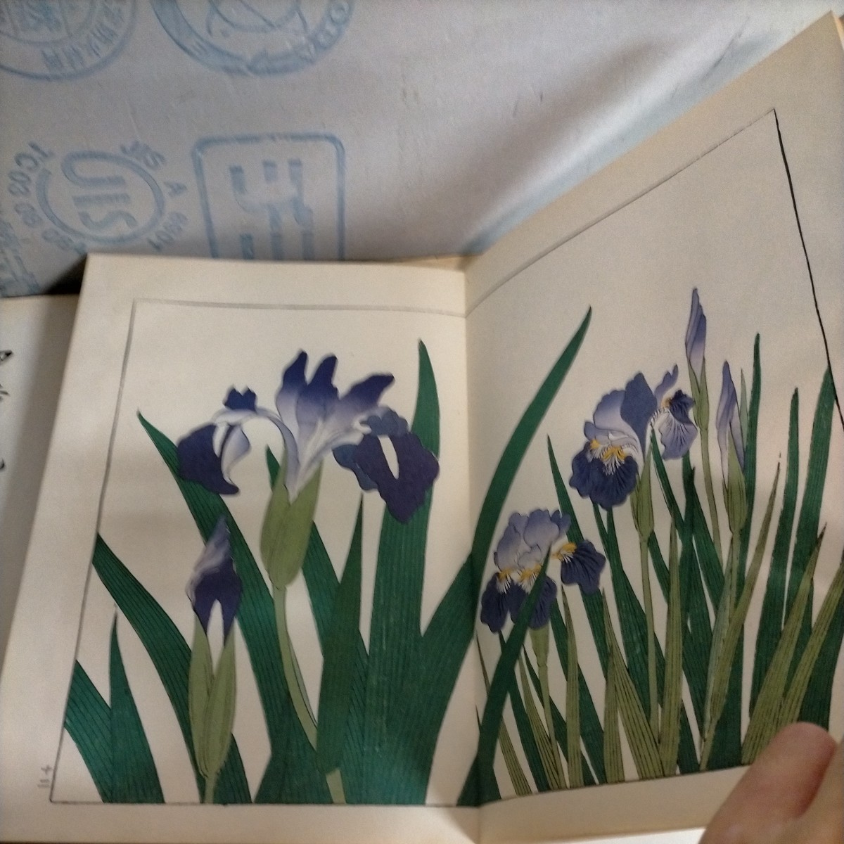 四季の花 全10巻揃 帙入り 芸艸堂 酒井抱一/鈴木其一/中野其明 彩色木