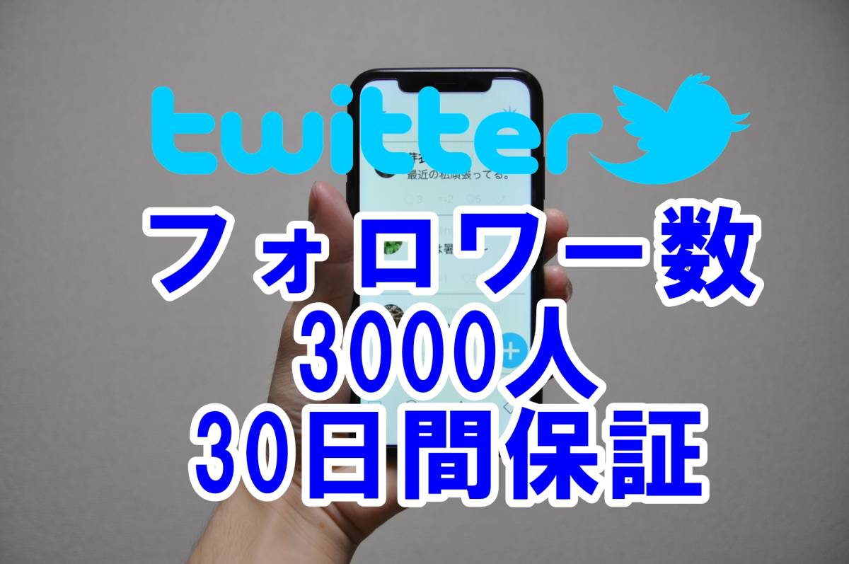 【おまけTwitter フォロワー増加 3000人 】 ユーチューブ 再生回数 増やせる自動増加ツール ツイッター 増加 外国人 登録者数 最高品質_画像1