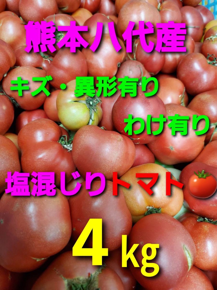 熊本県八代産トマト4キロ