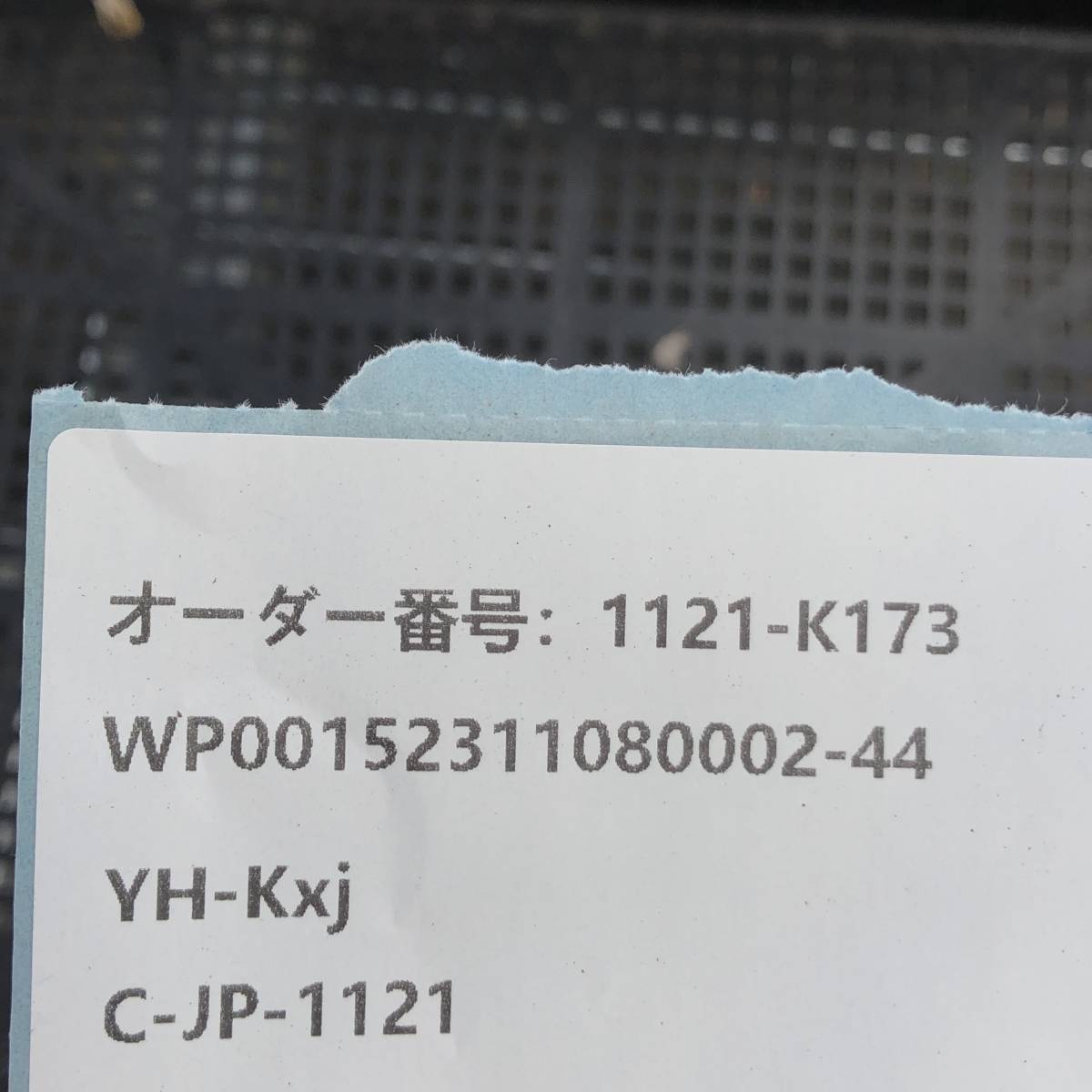 多肉植物24個 1121-K173 クリームビューティー *送料調整　入札前に確認してください。* エケベリア カット苗 _画像3