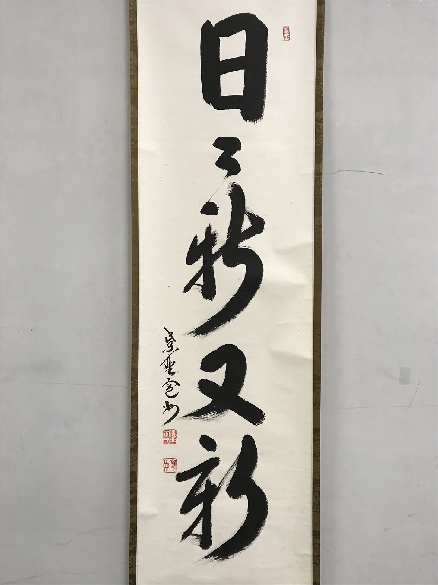 【千寿】大徳寺派 三玄院 長谷川寛州 日々新又新 紙本 d230◆箱/茶道具/古美術/時代品/掛軸/100016971_画像3