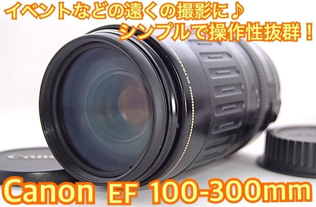 Canon キヤノン 望遠レンズ 100-300mm 迫力の300㎜！LENS - レンズ(ズーム)