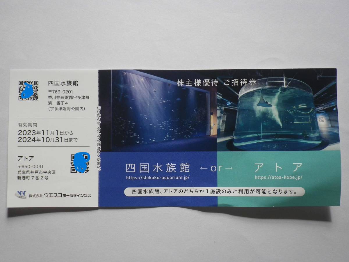 ウエスコホールディングス 株主優待券 四国水族館orアトア 招待券 有効期限:2024年10月31日まで 送料無料！_画像1