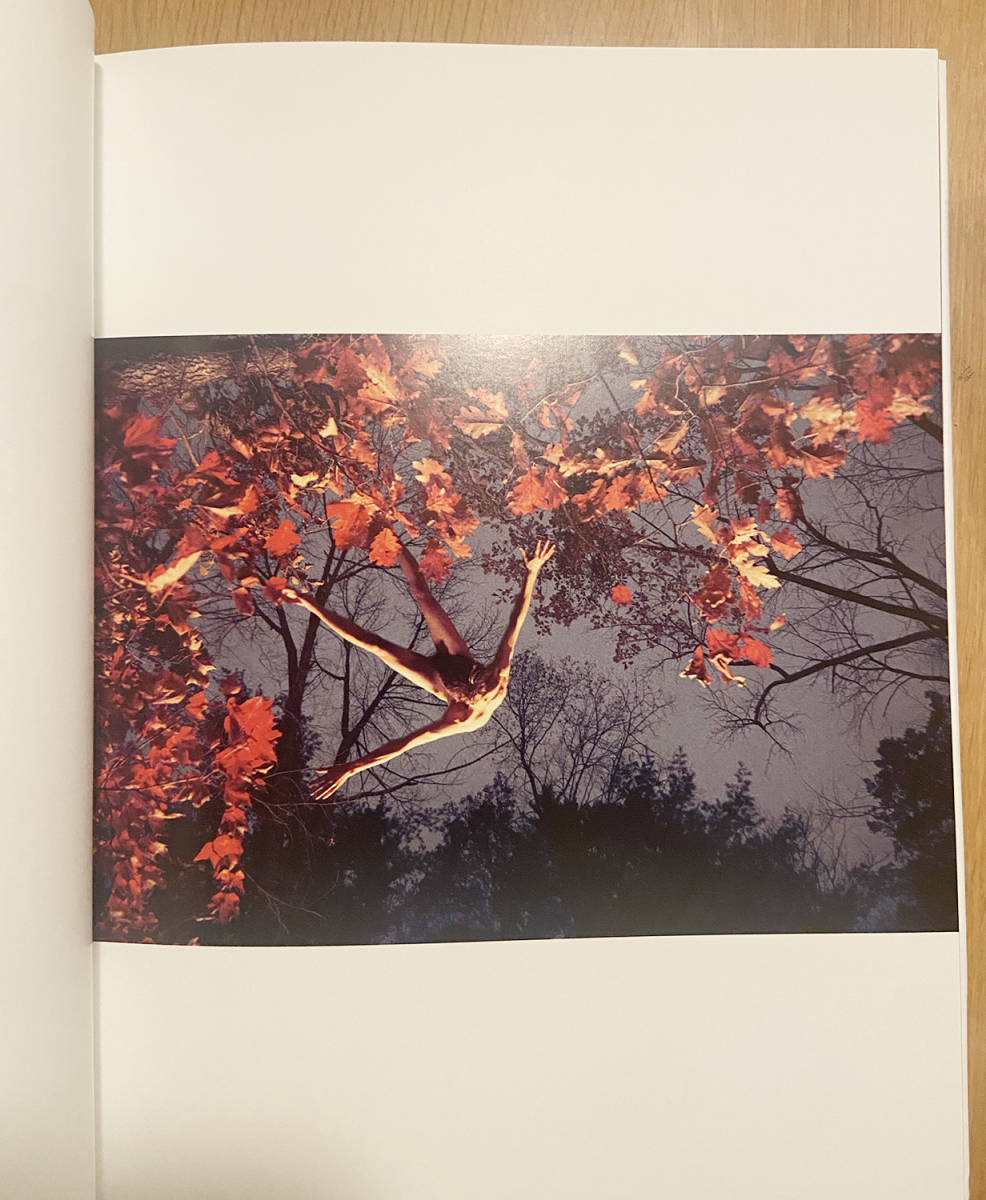 Ryan McGinley :You And I ライアン・マッギンレー 写真集 新品同様 美品_画像6