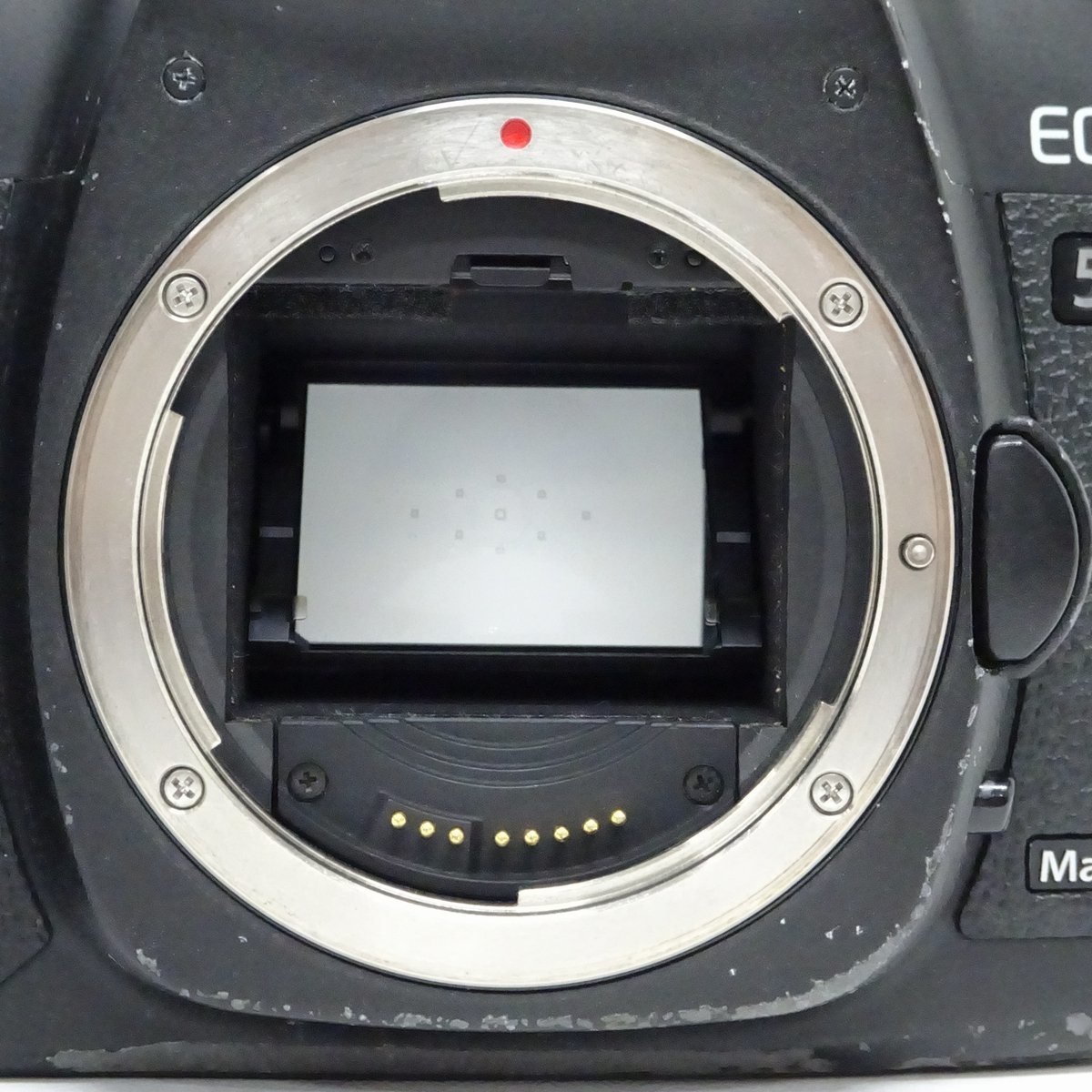 Canon EOS-5D Mark2 一眼レフカメラ ボディのみ シャッター数68613回【中古/動作品】#369014_画像3