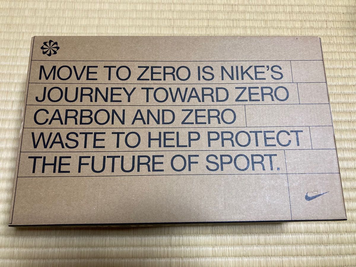 Nike WMNS Dunk Low Next Nature  ナイキ ウィメンズ ダンク ロー ネクスト ネイチャー "