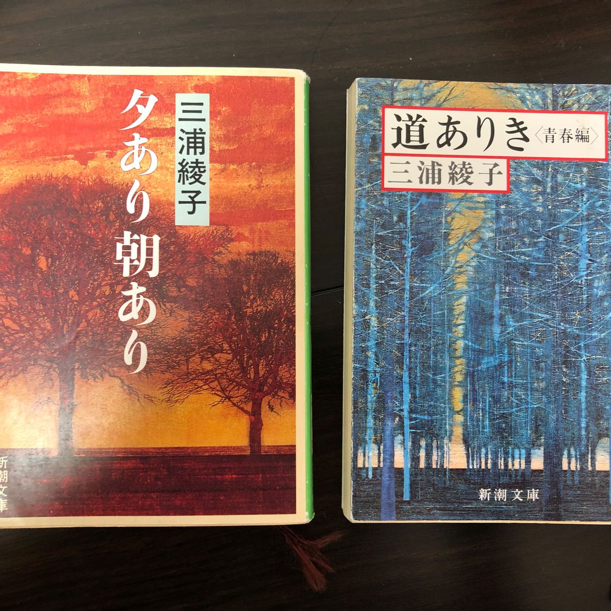 三浦綾子　道ありき　夕あり朝あり　2冊