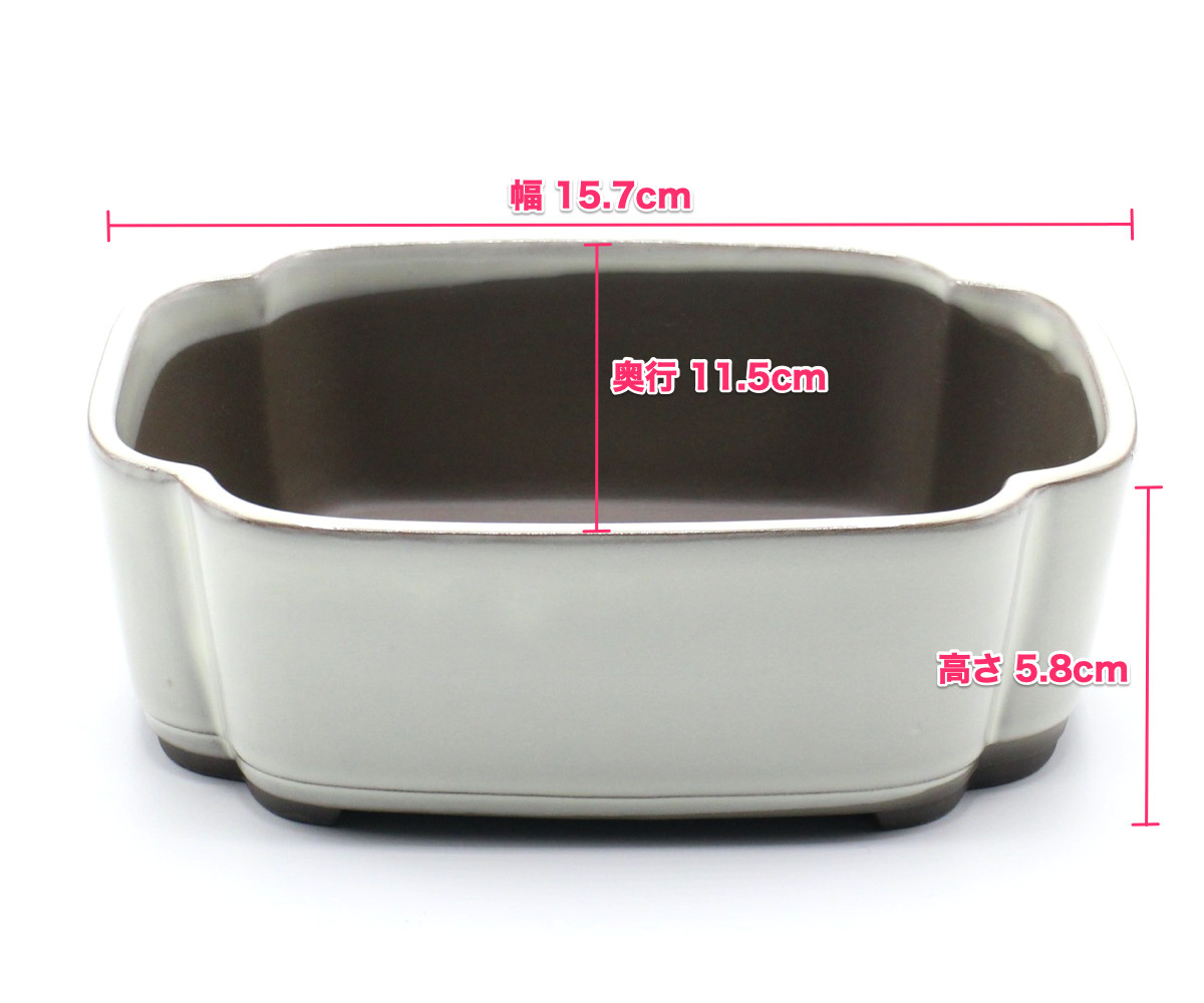 盆栽鉢 5号 切立木瓜深鉢 切立モ ッコ深鉢 白色 クリーム釉 瀬戸 焼 陶器 浅型 雑木 松柏 小品 小 さい 約15.7センチ 植木鉢 苔 お しゃれ_画像3