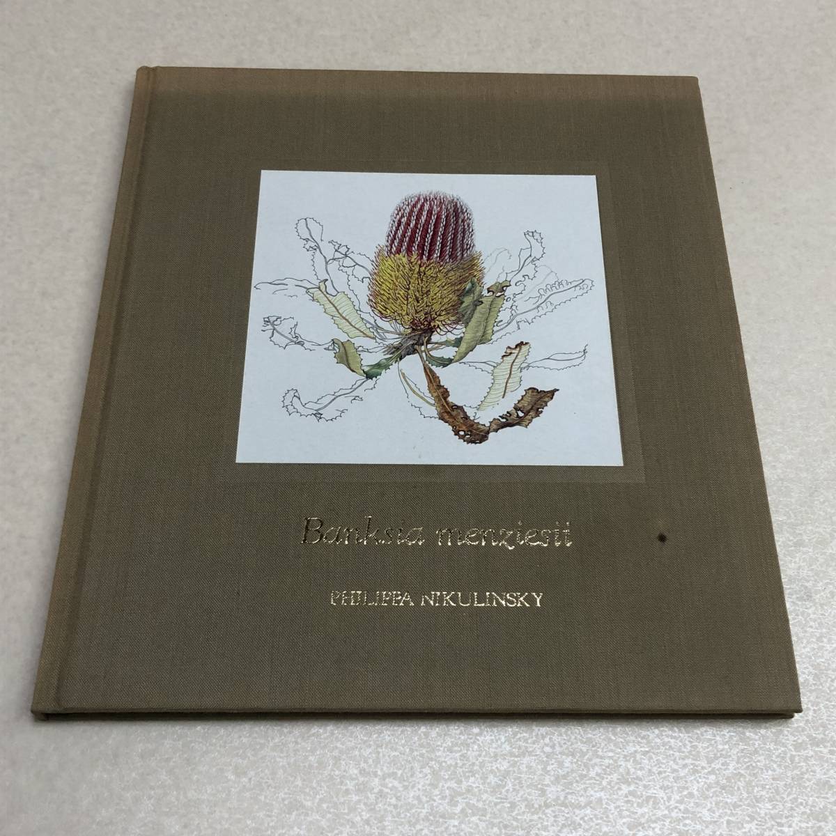 【ファイアウッド・バンクシア 植物画 洋書 Philippa Nikulinsky Banksia menziesii 植物 図譜 ボタニカルアート】クリックポスト_画像1