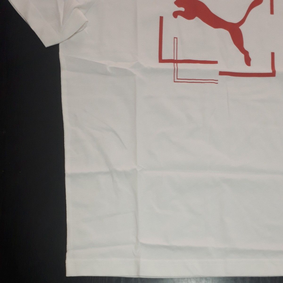 プーマ PUMA CAT グラフィック Tシャツ メンズ 春 夏 ホワイト 白 スポーツ トレーニング 半袖 Tシャツ 