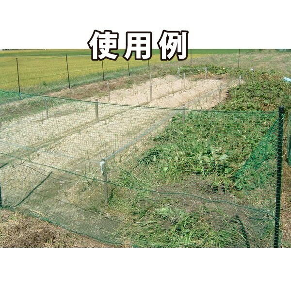 [ free shipping ] animal net 1m×20m 16mm eyes .2 volume (1 volume per 2160 jpy ). go in prevention field .. animal protection net protection net safety net Synth i