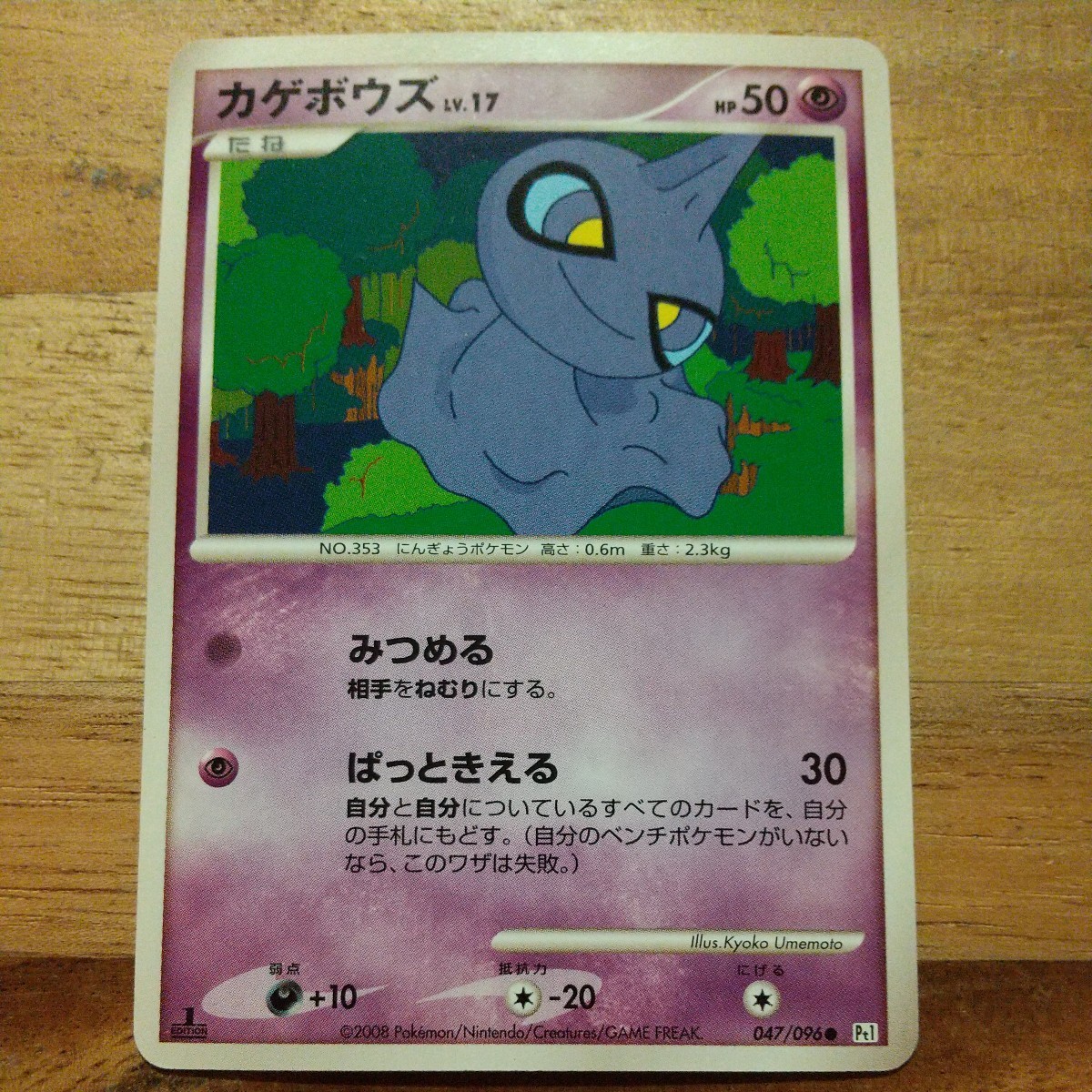 ポケモンカード　カゲボウズ　Lv.17_画像1